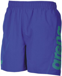 Arena Fundamentals Arena Logo Boxer Royal/Leaf