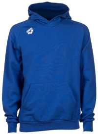 Sweats à capuche Arena Team Unisex Hooded Sweat Panel Royal