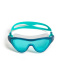 Lunettes de natation Arena The One Mask